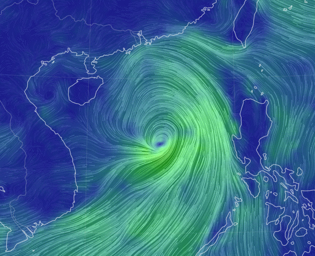 No. 3 Typhoon 
