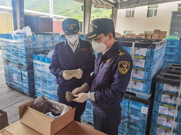 Promote foreign trade to ensure stability and improve quality Ningbo Customs issued 20 