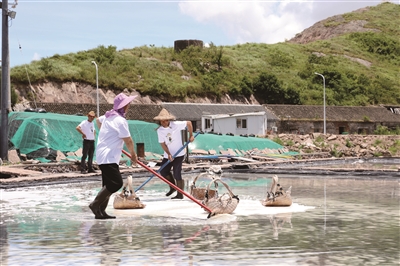 The first one in the province! Xiangshan Gaotang Island town sea salt drying non genetic bearing institute opened