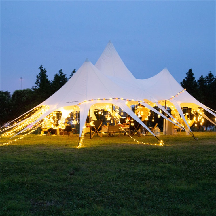 Outdoor Camping Canopy Shade Tent