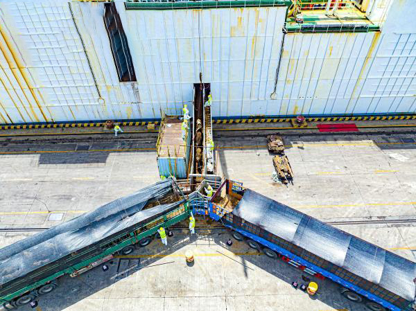 Ningbo port area ushered in this year's first batch of imported live cattle have all transferred quarantine inspection 