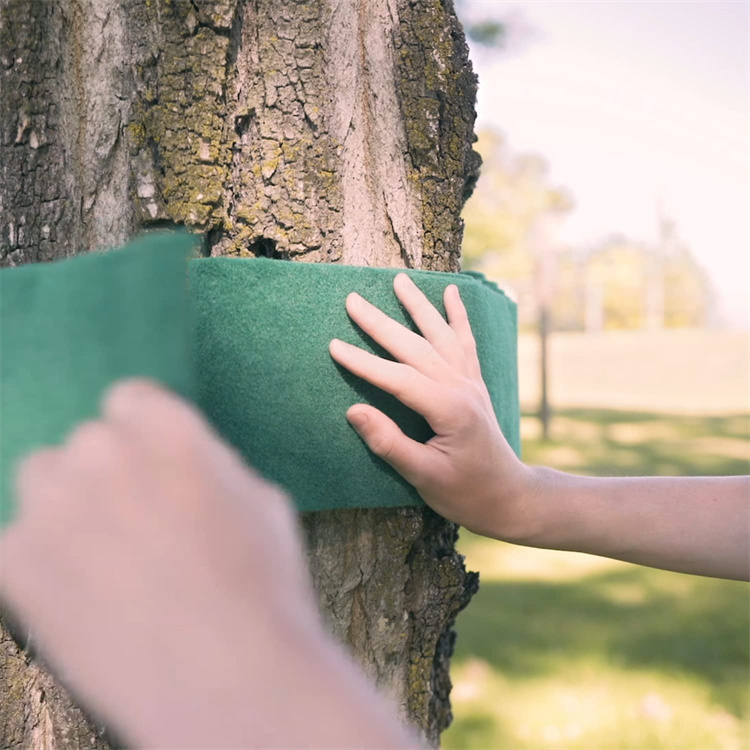 Hammocks Tree Protector Kit