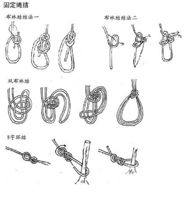 Hammocks bind tree knots