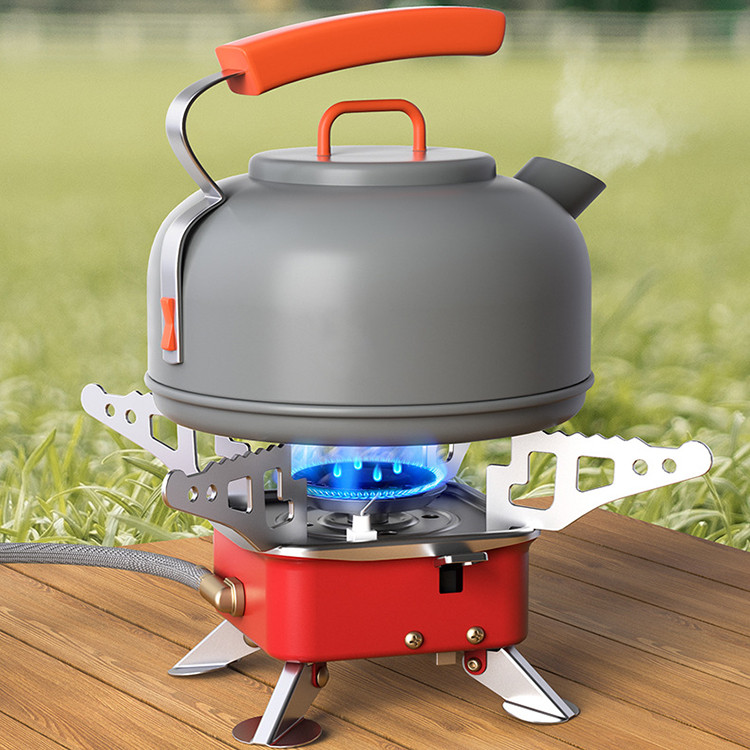 Portable Camping Gas Stove