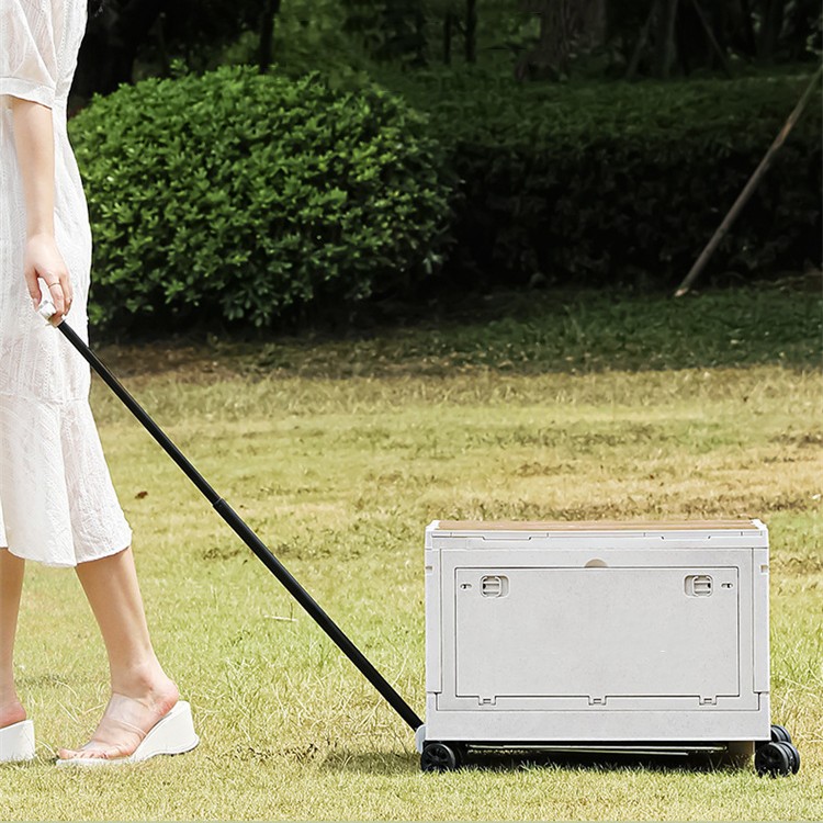 Collapsible Camp Storage Boxes