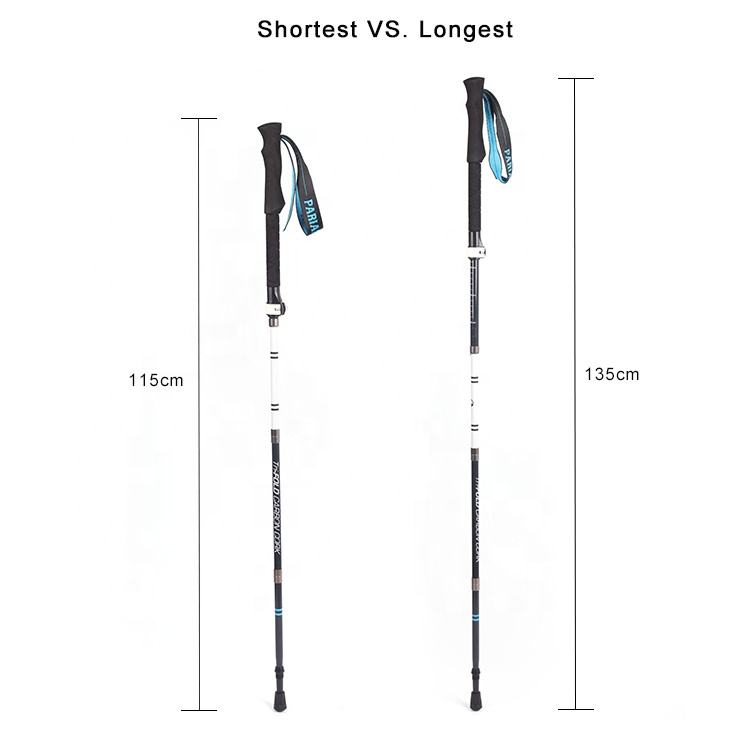 2 Pack Lightweight Walking Trekking Poles