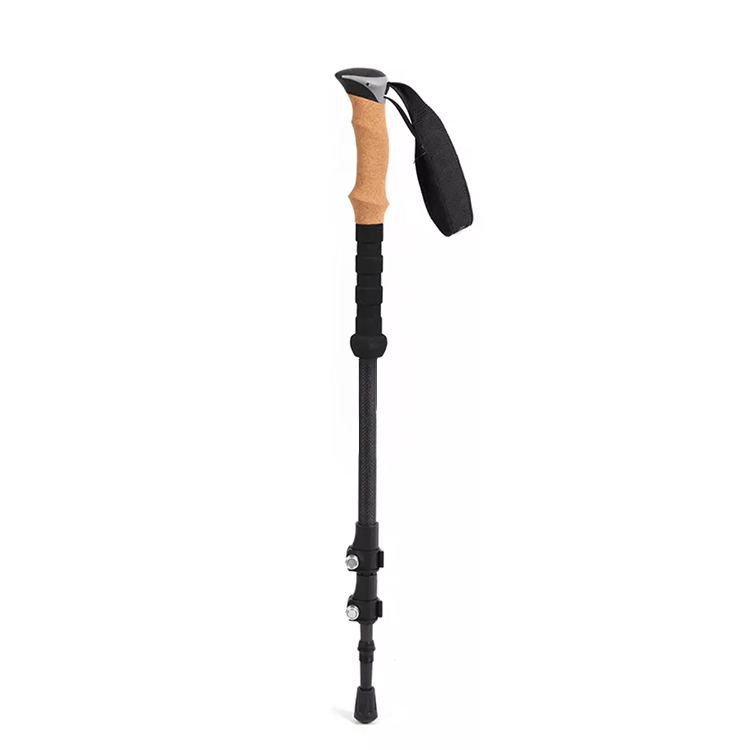 2 Pack Lightweight Hiking Poles
